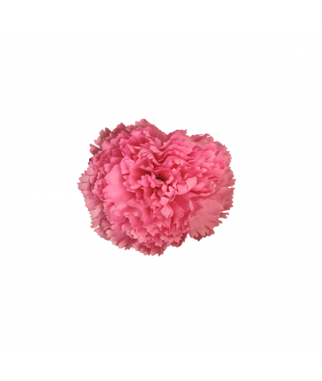 Comprar Flores de flamenca online